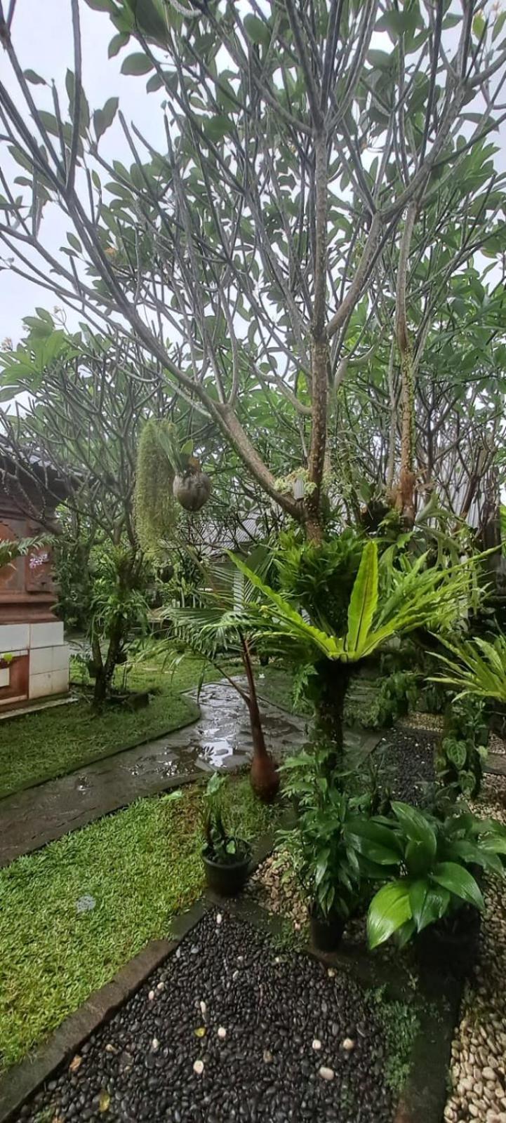 Serongga Guest House Lebih Exterior photo